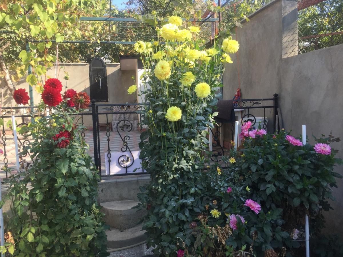 Apartament Sofia Tbilisi Buitenkant foto